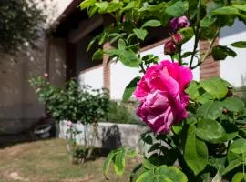 Casa di Elena - Iglesias