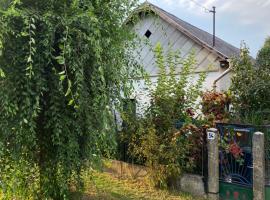 Emese Vendégház, cottage ở Tiszafüred