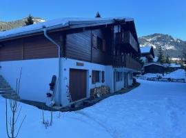 Les Sapins - Welcoming chalet for 14p with hot tub，沙泰勒的度假屋