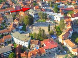 Centar Požege, stan za odmor, povoljni hotel u gradu Požega