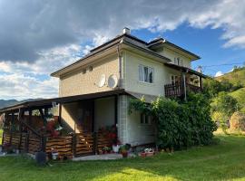 Casa Danut, hotel in Vidra