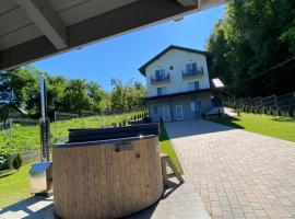 Casa Dumitru 2, hotel de playa en Valea Borului