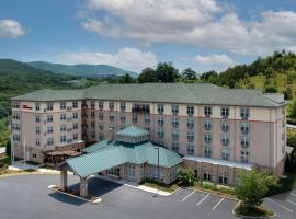 Hilton Garden Inn Roanoke, hotel with parking in Roanoke