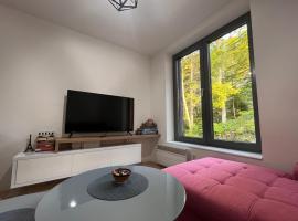 Srebrna Lisica 98 - Cosy studio appartment, near the ski track、ビイェラシュニツァのホテル