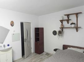 Garsoniera in apartament liber