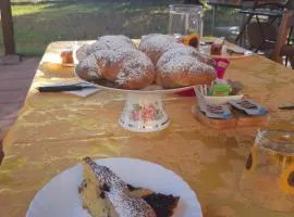 Il Girasole B&B
