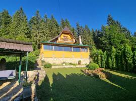 Green Forest, villa in Vlasic