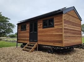 Woodland Shephards Hut - 'Aristocrat', lodge i Caernarfon