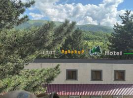 Sochiner Hotel, hotel in Vanadzor