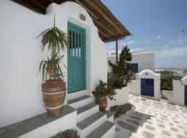 Hibiscus Rosa Mykonos