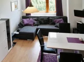 Apartmán U Sjezdovky