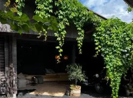 Tini House