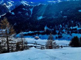 Nedererhof - Ferienwohnung Gamskar, ξενοδοχείο σε Schmirn