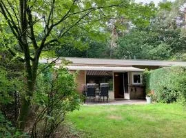 Veluwse Wolf: natuurlijk genieten!