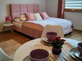 Dębowy Apartamenty/Pokoje