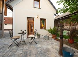 Cherry house - cosy house - ideal for bear watching, in the neighborhood of the medieval Snežnik castle，位于Stari Trg pri Ložu的酒店