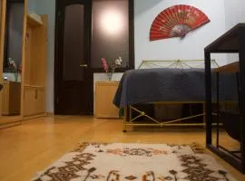 Welhome to a city centre Cozy and Comfy For leisure and Work No go through No other guests Just one host who you can ghost