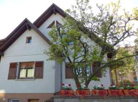 GITE SPACIEUX AU COEUR DE L'ALSACE 3***, hotel i Sélestat