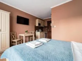 Willa Sichelscy - apartamenty i pokoje z aneksami kuchennymi - atrakcyjne rabaty na termy!