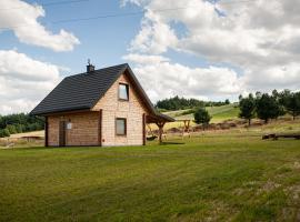 Domek pod Chełmową Górą, hotel with parking in Krasnobród