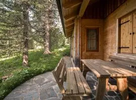Alpin-Hütten auf der Turracherhöhe Haus Murmeltier by S4Y