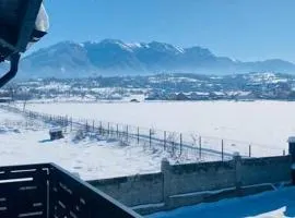 D&M Family Residence Bran 2