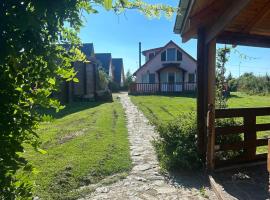 Family Mountain Cottage, vila v destinaci Cîrţişoara