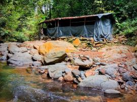 Tereking the life Orangutan, campingplass i Bukit Lawang