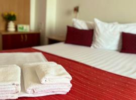 Pensiunea Elena, hotel in Timişoara