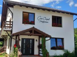 Casa Oaspeti Transfagarasan, hotel a Cîrţişoara