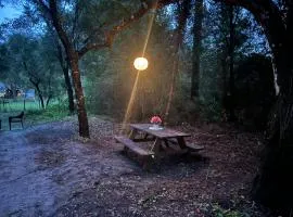 Your Personal 'Glamp' Site! AC - BBQ - Fast WiFi
