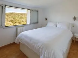 Cosy Apartment in Ancient Gabian with River and Vineyard Views