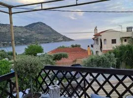 Plavoukos'house