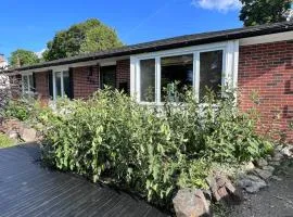 Three Bedroom Home with Pool Near Trent University