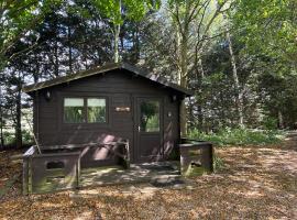 Willow by Paymán Club, holiday home in Royston