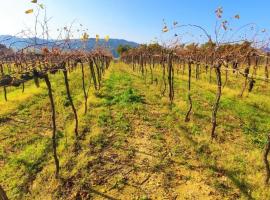 Podere Mona, hotel s parkiralištem u gradu 'Pomarance'