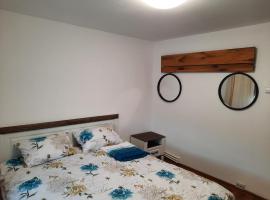 Apartament în regim hotelier: Deva şehrinde bir daire