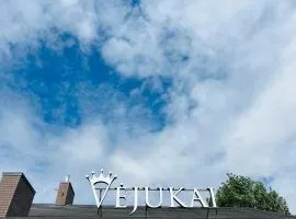 Vėjukai