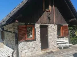 Cozy vacation house