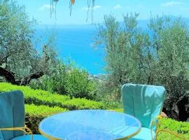 GARDEN APARTMENT 2 VERGA