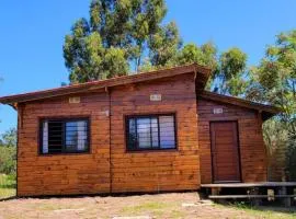 Bosque & Mar - Fresca cómoda y luminosa.