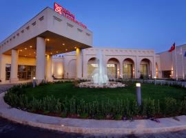 Hilton Garden Inn Mardin, hotel Mardinban