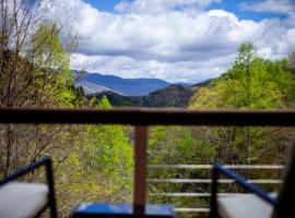 Family Cabin Near Smoky Mtn Entrance Nantahala – hotel w mieście Robbinsville