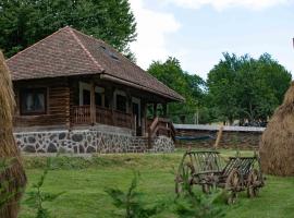 Due Fratelli Village Resort, lodge in Şinteu