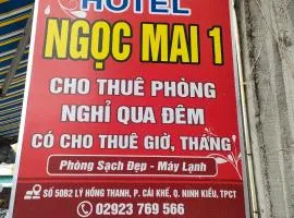 Ngoc Mai 1 Hotel