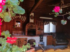 Casa Agroturistică Teodora, hotel near Humor Monastery, Mănăstirea Humorului