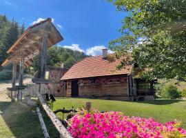 Konak Mandica avlija, seoska kuća u gradu Zaovine