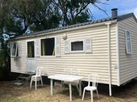CAMPING ANIMAL KING
