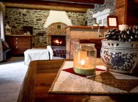 Chalet in pietra e legno con caminetto