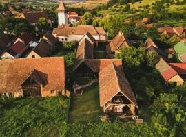Șura din Seleuș - Seleuș Barn - Idyllic Countryside M Museum House